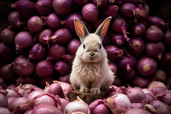 Mohou králíci jíst cibuli