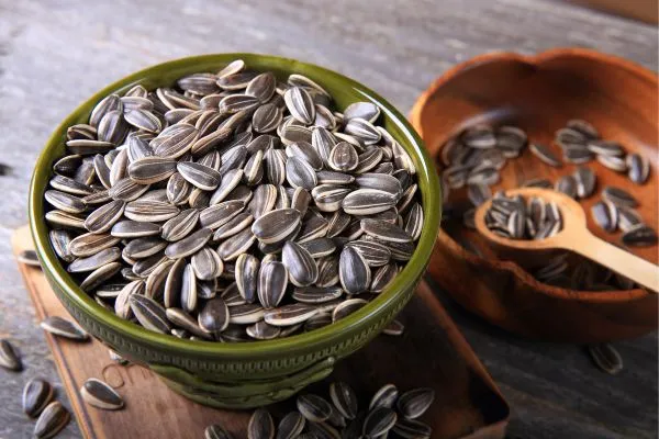 Může králík jíst slunečnicová semínka