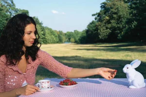 Rizika krmení králíků jahodami