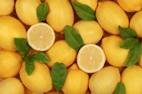 Potenciální zdravotní rizika citronů pro králíky